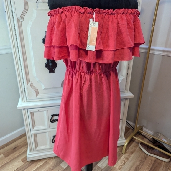 NWTs pink boutique off shoulder dress size M - Picture 5 of 5